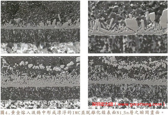 下面四張圖片為放大4500倍的SEM圖像，說明在回流焊爐熱量不足的情況下，黃金成份正要從鎳層分離融入焊錫之中的瞬間，當零件遭受外力沖擊的時候就極有可能從這一整排AuSn、、AuSn2或AuSn4的IMC處裂開。